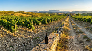 Découverte des vins syriens et du Domaine de Bargylus