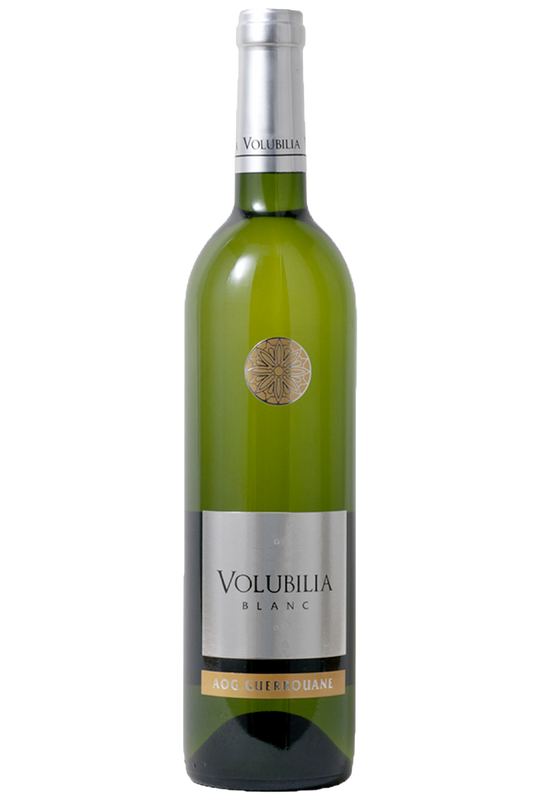 Villa Volubilia - Volubilia White 2024